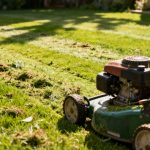 Prix horaire d'une tonte de pelouse : le guide complet des tarifs sans aucun texte