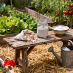 Solutions et remèdes naturels de grand-mère pour protéger le potager des limaces.