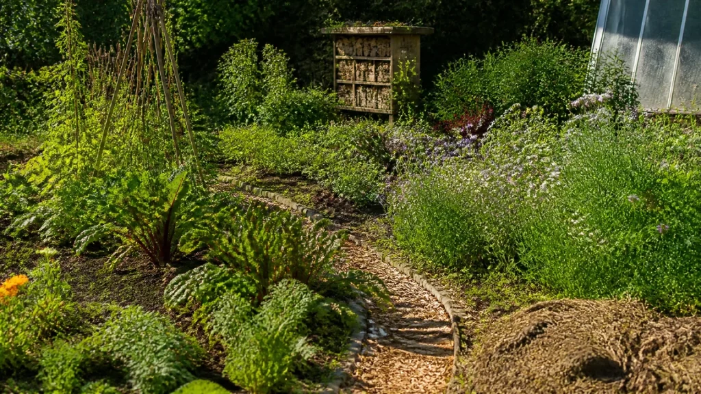 Comment enrichir un jardin avec des méthodes naturelles et durables sans aucun texte