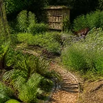 Comment enrichir un jardin avec des méthodes naturelles et durables sans aucun texte