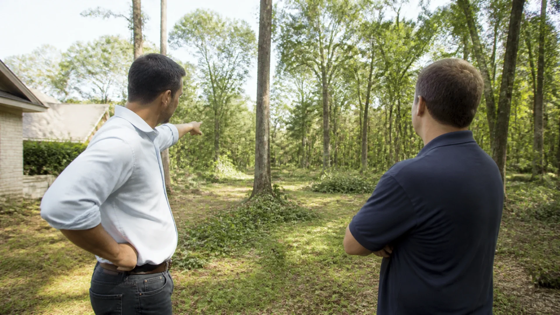 Qui doit couper les arbres sur un terrain loué ?