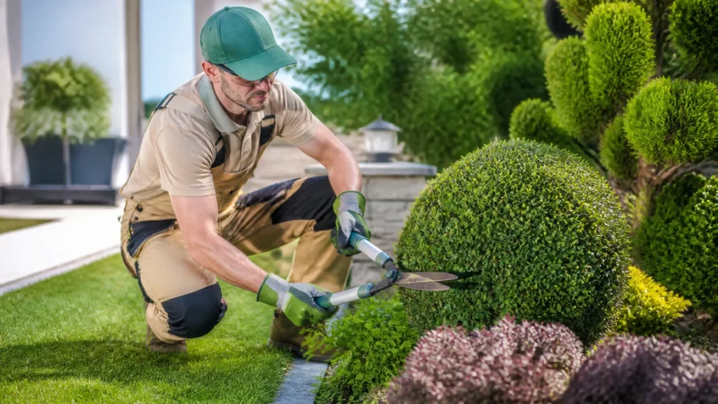 Salaire moyen d’un jardinier par heure : revenus et tarifs sans aucun texte